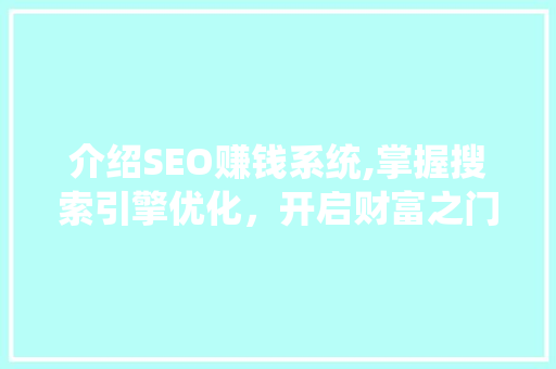 介绍SEO赚钱系统,掌握搜索引擎优化，开启财富之门 编程语言