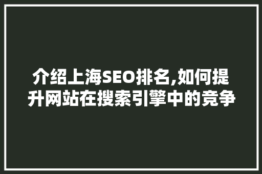 介绍上海SEO排名,如何提升网站在搜索引擎中的竞争力
