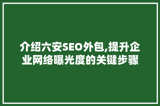 介绍六安SEO外包,提升企业网络曝光度的关键步骤