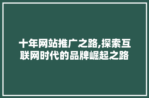 十年网站推广之路,探索互联网时代的品牌崛起之路