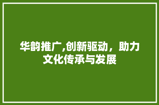 华韵推广,创新驱动，助力文化传承与发展