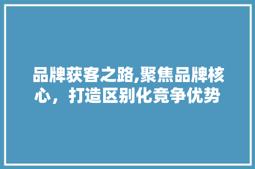 品牌获客之路,聚焦品牌核心，打造区别化竞争优势