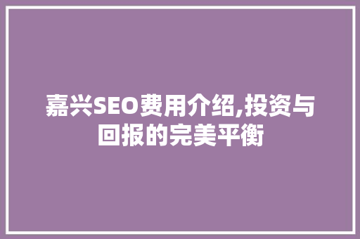 嘉兴SEO费用介绍,投资与回报的完美平衡