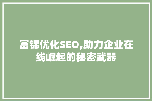 富锦优化SEO,助力企业在线崛起的秘密武器