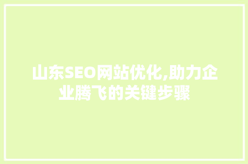 山东SEO网站优化,助力企业腾飞的关键步骤