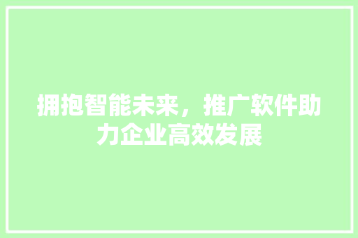 拥抱智能未来，推广软件助力企业高效发展