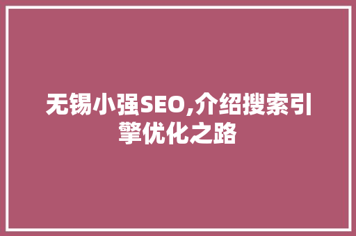 无锡小强SEO,介绍搜索引擎优化之路