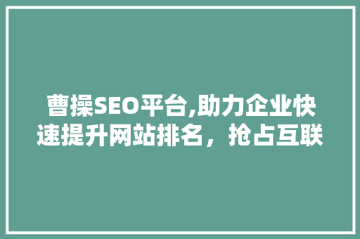 曹操SEO平台,助力企业快速提升网站排名，抢占互联网市场先机