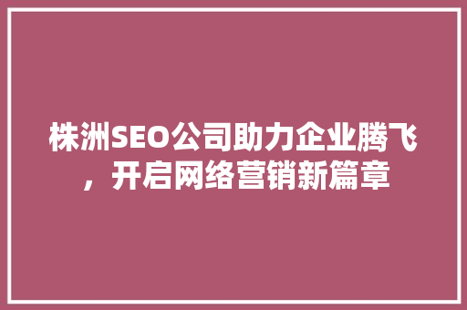 株洲SEO公司助力企业腾飞，开启网络营销新篇章