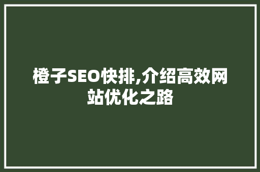 橙子SEO快排,介绍高效网站优化之路
