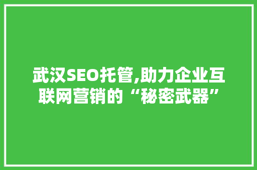 武汉SEO托管,助力企业互联网营销的“秘密武器”