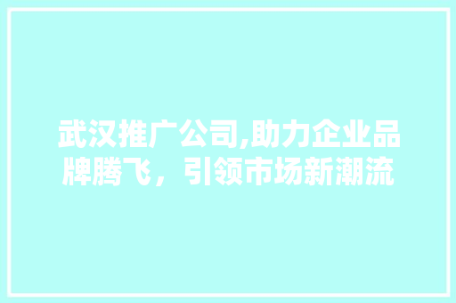 武汉推广公司,助力企业品牌腾飞，引领市场新潮流