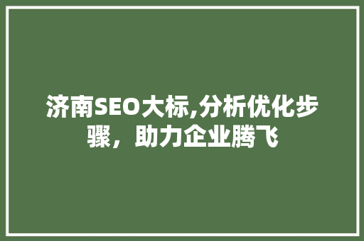 济南SEO大标,分析优化步骤，助力企业腾飞