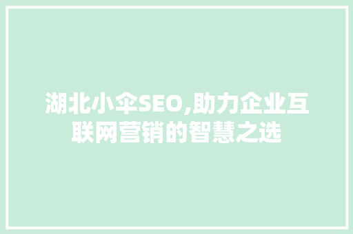 湖北小伞SEO,助力企业互联网营销的智慧之选