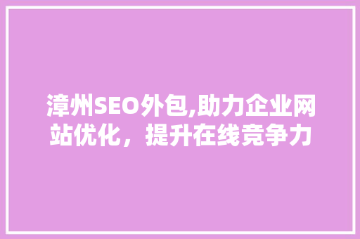 漳州SEO外包,助力企业网站优化，提升在线竞争力