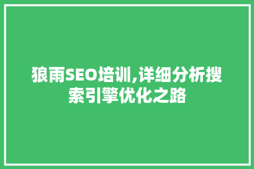 狼雨SEO培训,详细分析搜索引擎优化之路
