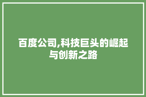 百度公司,科技巨头的崛起与创新之路