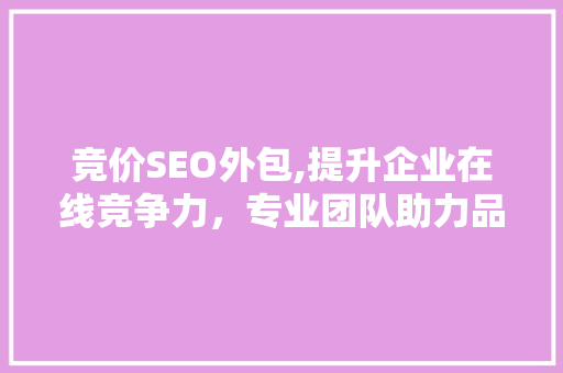 竞价SEO外包,提升企业在线竞争力，专业团队助力品牌腾飞