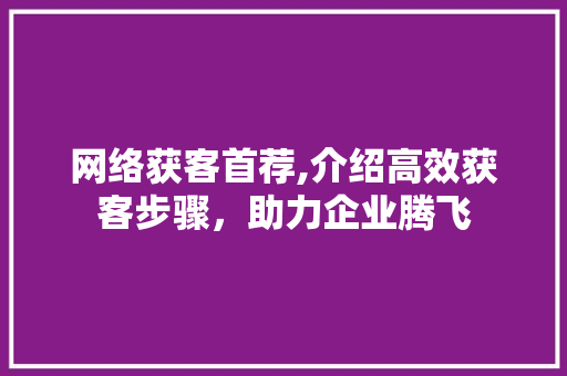 网络获客首荐,介绍高效获客步骤，助力企业腾飞