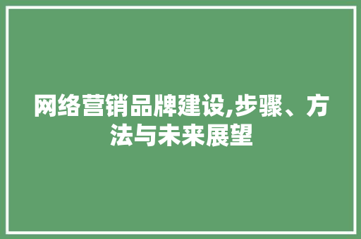 网络营销品牌建设,步骤、方法与未来展望