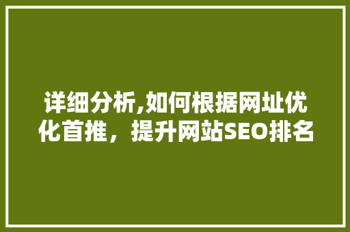 详细分析,如何根据网址优化首推，提升网站SEO排名