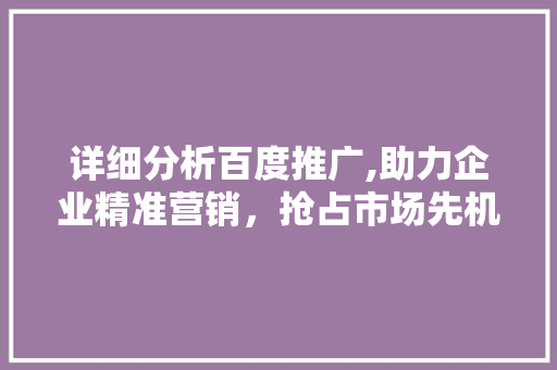 详细分析百度推广,助力企业精准营销,抢占市场先机 详细分析百度推广,助力企业精准营销,抢占市场先机