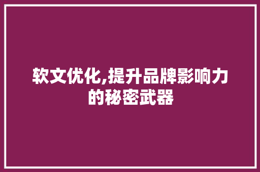 软文优化,提升品牌影响力的秘密武器