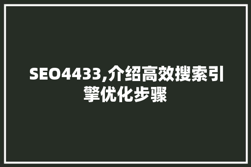 SEO4433,介绍高效搜索引擎优化步骤 SEO4433,介绍高效搜索引擎优化步骤