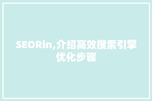 SEORin,介绍高效搜索引擎优化步骤