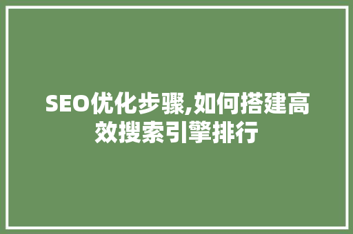 SEO优化步骤,如何搭建高效搜索引擎排行