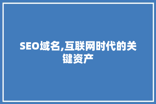 SEO域名,互联网时代的关键资产