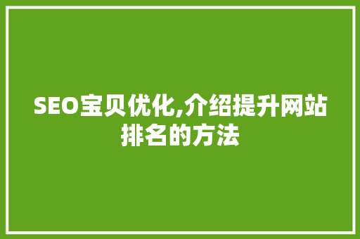 SEO宝贝优化,介绍提升网站排名的方法
