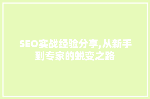 SEO实战经验分享,从新手到专家的蜕变之路