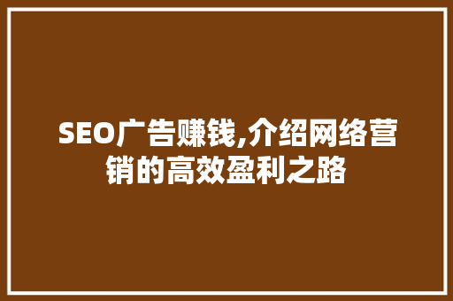 SEO广告赚钱,介绍网络营销的高效盈利之路
