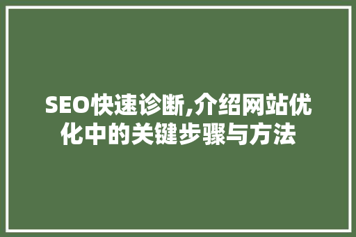 SEO快速诊断,介绍网站优化中的关键步骤与方法