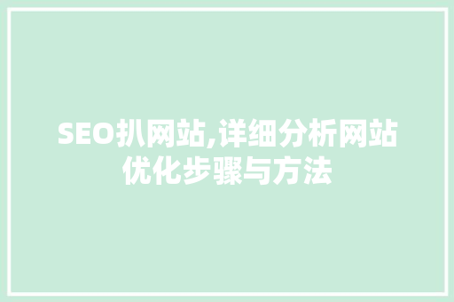 SEO扒网站,详细分析网站优化步骤与方法