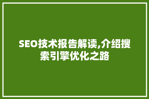 SEO技术报告解读,介绍搜索引擎优化之路