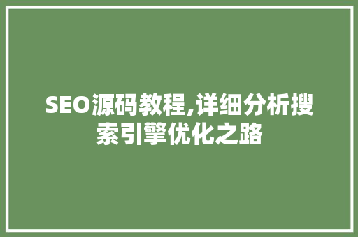 SEO源码教程,详细分析搜索引擎优化之路