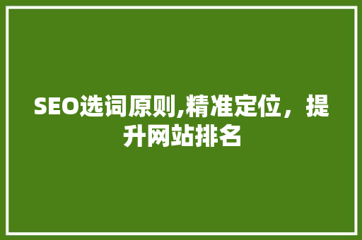 SEO选词原则,精准定位，提升网站排名