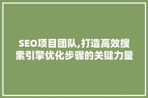 SEO项目团队,打造高效搜索引擎优化步骤的关键力量