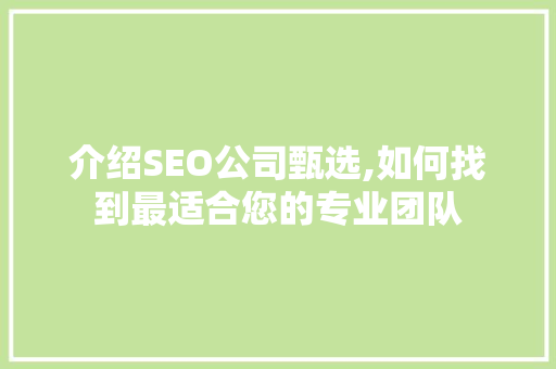 介绍SEO公司甄选,如何找到最适合您的专业团队 电脑基础