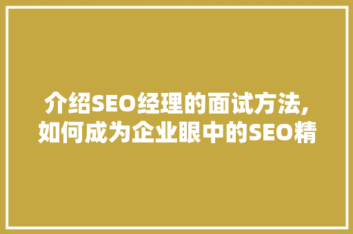 介绍SEO经理的面试方法,如何成为企业眼中的SEO精英