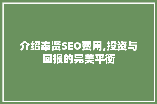 介绍奉贤SEO费用,投资与回报的完美平衡