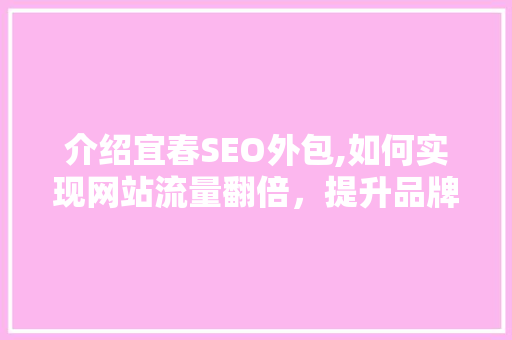 介绍宜春SEO外包,如何实现网站流量翻倍，提升品牌影响力