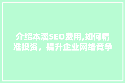 介绍本溪SEO费用,如何精准投资，提升企业网络竞争力 网络技术
