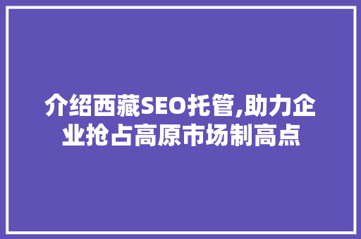 介绍西藏SEO托管,助力企业抢占高原市场制高点 电脑故障维修