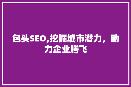 包头SEO,挖掘城市潜力，助力企业腾飞 编程语言