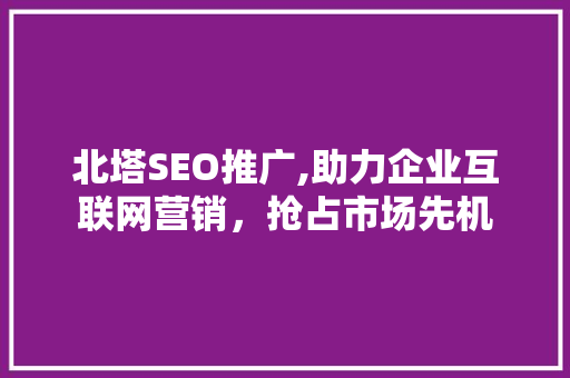 北塔SEO推广,助力企业互联网营销，抢占市场先机