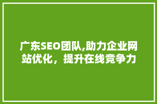 广东SEO团队,助力企业网站优化，提升在线竞争力