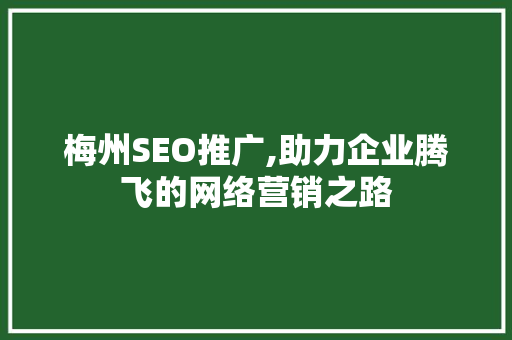 梅州SEO推广,助力企业腾飞的网络营销之路